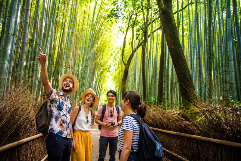 Ultimate Kyoto Arashiyama Tour: Bamboo, Monkeys, Zen Gardens & Gems - At a glance