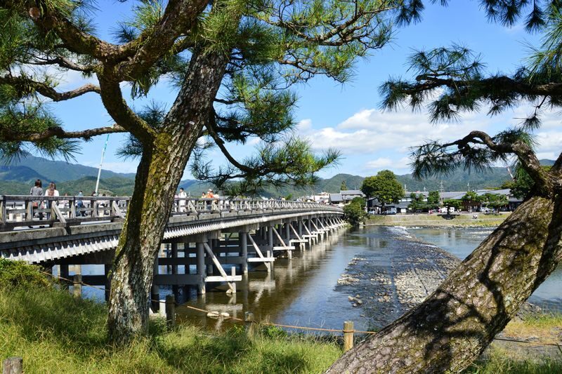 Ultimate Kyoto Arashiyama Tour: Bamboo, Monkeys, Zen Gardens & Gems - Tenryu-ji Temple: a change of pace among gardens