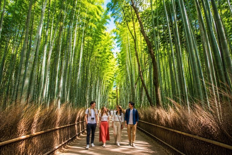 Ultimate Kyoto Arashiyama Tour: Bamboo, Monkeys, Zen Gardens & Gems - Timing, pace and what the price covers
