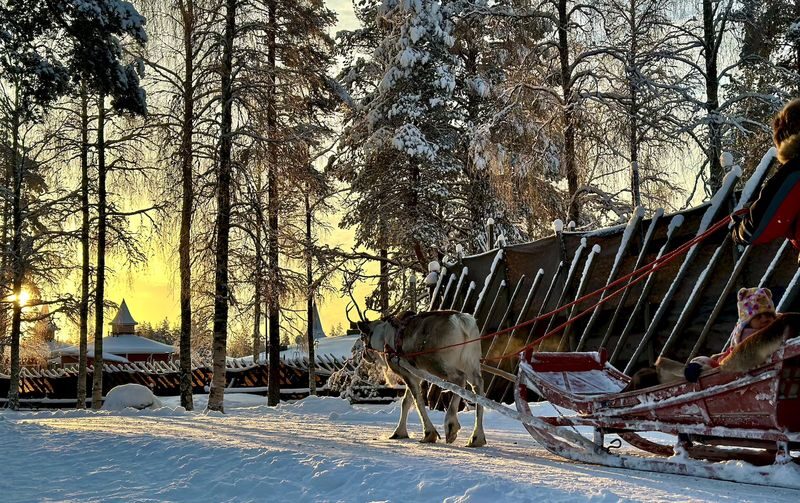 Ultimate Lapland Combo, Meet Santa, Reindeer and Husky Ride - Who will get the most from this outing?