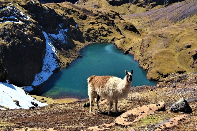 Ultimate Lares Trek & Inca Trail 5 Days - Traveler Photos and Experiences