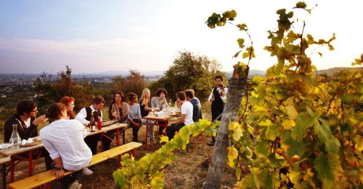 Ultimate Maipú Experience - Wineries & Lunch - Duration and Availability Information