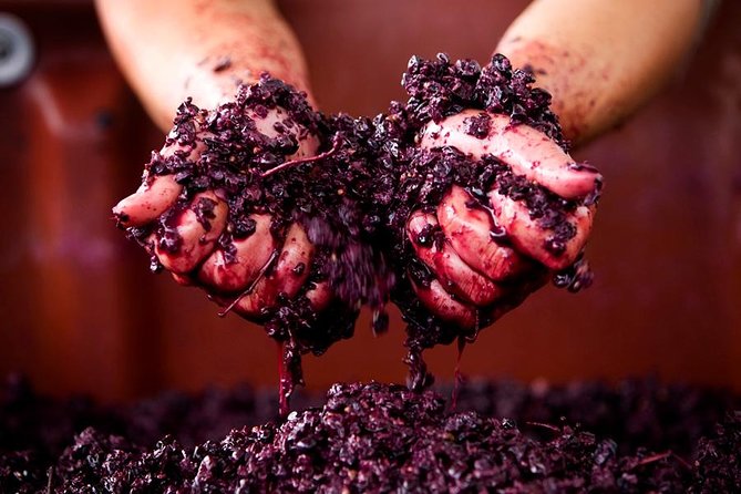 Ultimate Mornington Peninsula Food and Wine Small Group Tour - Cancellation Policy and Refunds