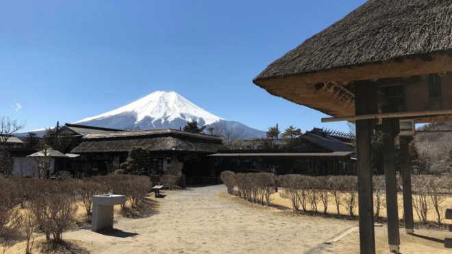 Ultimate Mt. Fuji Private Escape: Day Trip From Tokyo - Important Information