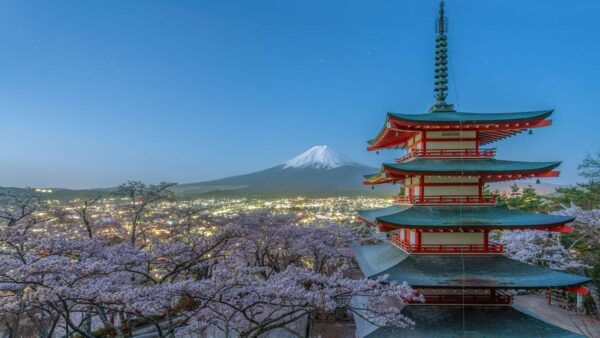 Ultimate Mt. Fuji Private Escape: Day Trip From Tokyo - Customization Options