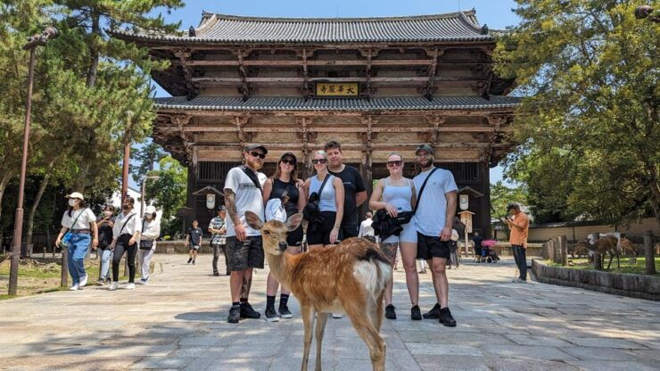 ULTIMATE NARA WALK: Temples, Knives, Crafts & Tea Ceremony - Itinerary Highlights