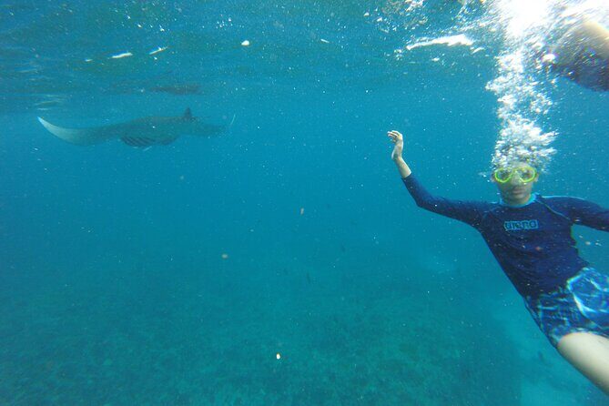 Ultimate Nusa Penida Experience 2D1N Private Tour  All-Included - A Deep Dive into the 2D1N Nusa Penida Tour