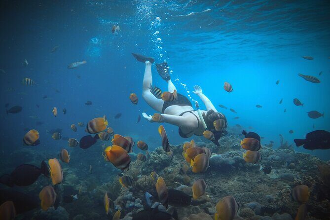 Ultimate Nusa Penida Experience 2D1N Private Tour  All-Included - An Honest Look at the Ultimate Nusa Penida Experience 2D1N Private Tour  