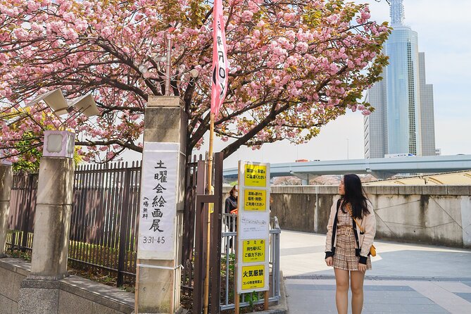 Ultimate One-Day Tokyo Must-Sees Tour With Photographer - Tour Overview