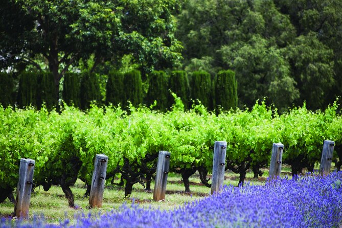 Ultimate Penfolds Magill Estate Experience - Directions