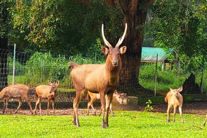 Ultimate Perak Nature Expedition - Who Would Enjoy This Tour?