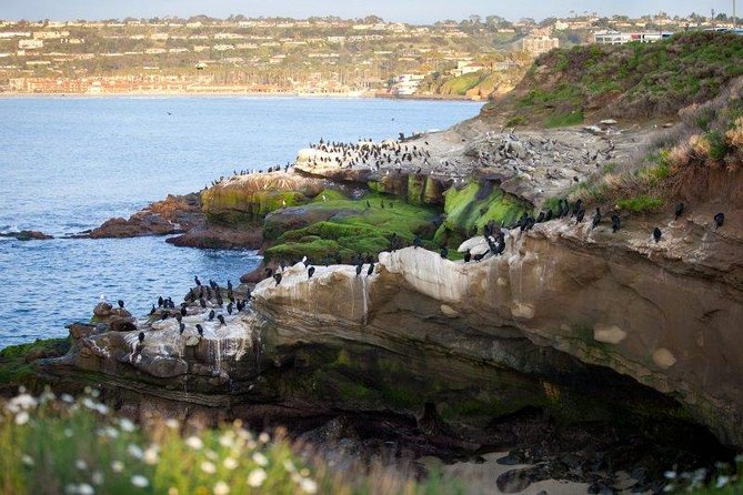 Ultimate Private San Diego Sightseeing Tour - Tour Details