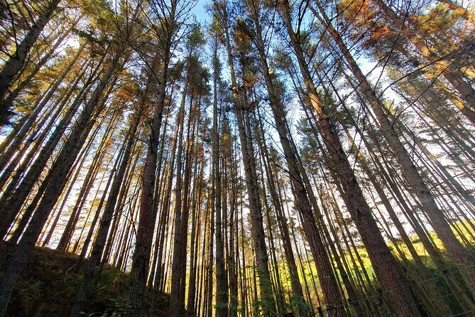 Ultimate self-drive rail car journey - The Sum Up