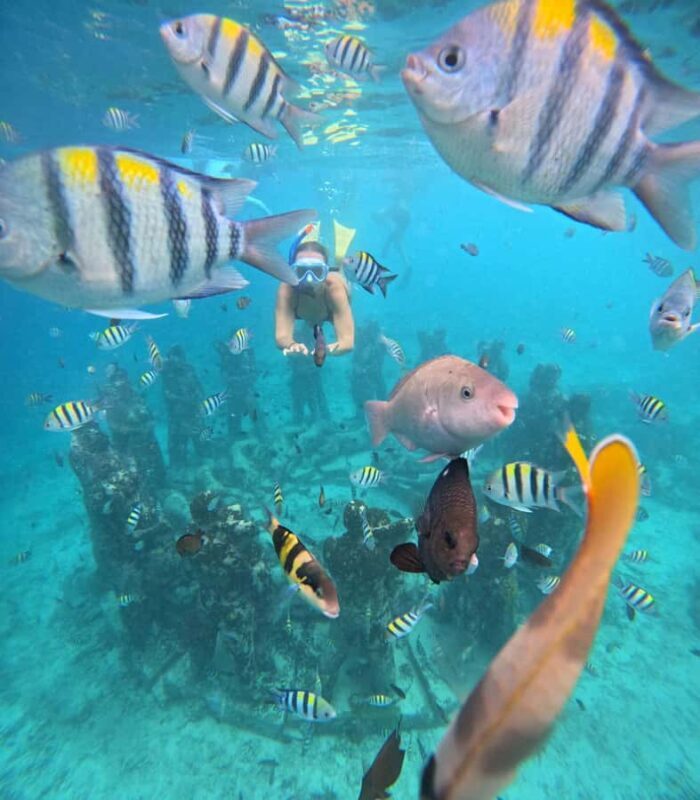 Ultimate Snorkeling Escape to the Wonders of Gili Island - Good To Know