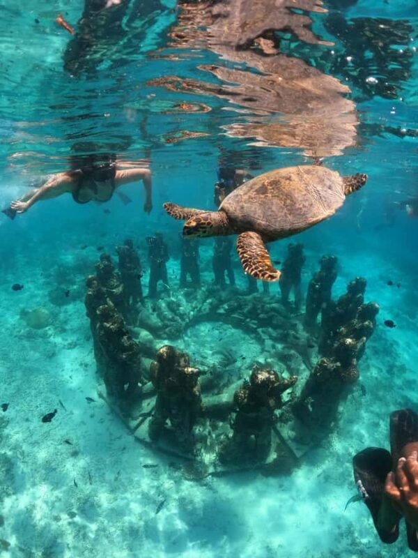 Ultimate Snorkeling Escape to the Wonders of Gili Island - Exploring the Details: What to Expect on the Trip