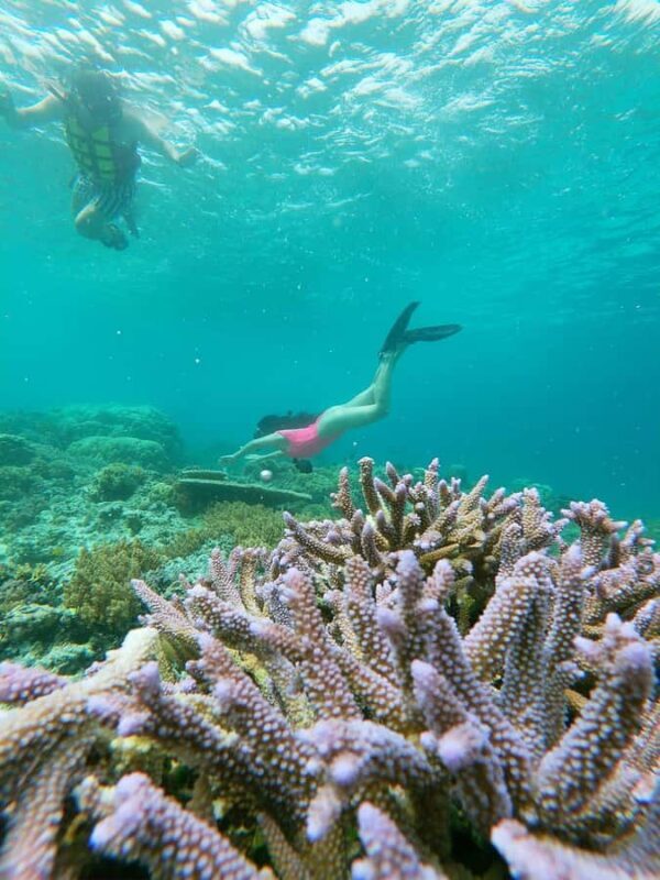 Ultimate Snorkeling Escape to the Wonders of Gili Island - Final Thoughts