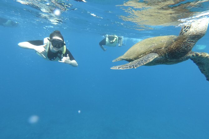 Ultimate South Island Zodiac Boat Snorkel Adventure in Kauai - Additional Information and Important Considerations