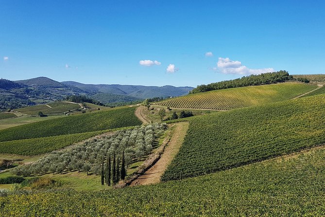 Ultimate Tuscany Bike Tour - Inclusions