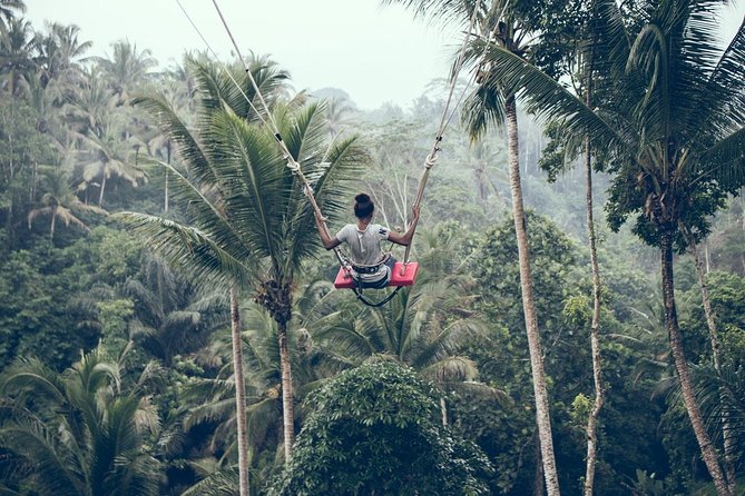 Ultimate Ubud - Experience Overview