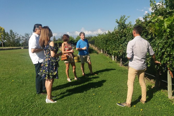 Ultimate Uco Valley Wine Tour - Itinerary Overview
