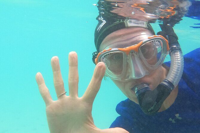 Ultimate Upolu Highlights Tour  Apia Cruise Ship Shore Excursion - Insights from Real Travelers