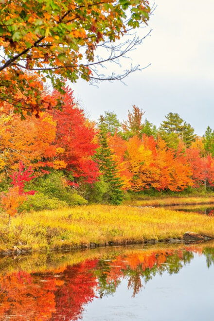 Ultimate US East Coast: Bundle of 25+Self-Guided Audio Tours - Audio Tour Features