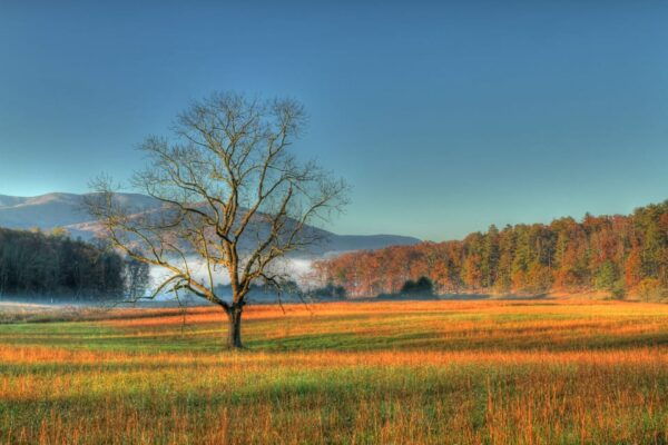 Ultimate US East Coast: Bundle of 25+Self-Guided Audio Tours - Explore Iconic Locations