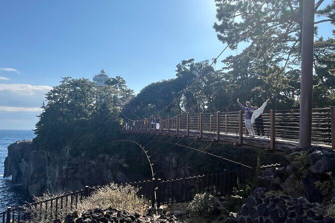 Ultimate View Izu Car Tour with Hotel Pickup and Local Guide - The Sum Up