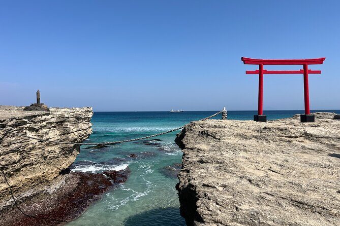 Ultimate View Izu Car Tour with Hotel Pickup and Local Guide - Good To Know