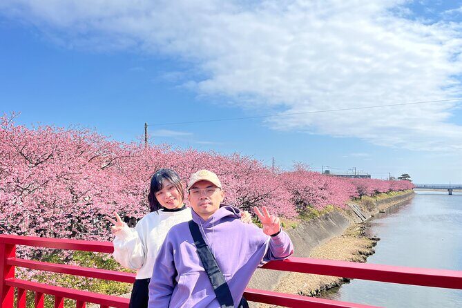 Ultimate View Izu Car Tour with Hotel Pickup and Local Guide - Final Thoughts: Is It Worth It?