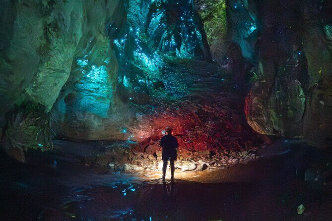 Ultimate Waitomo Glowworm Tour Private, Tailored, After Dark - Why This Tour Offers Great Value