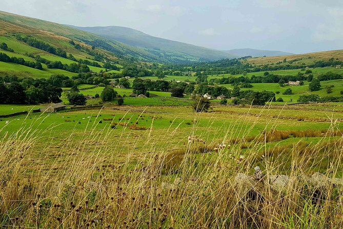 Ultimate Yorkshire Dales Tour - Magnificent Views - Photo Stops - Expert Guide - Yorkshire Dales Itinerary