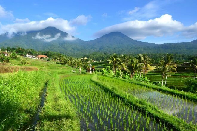 Ulun Danu Beratan, Jatiluwih, & Tanah Lot Private Tour - Inclusions and Exclusions