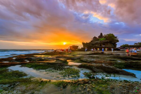 Ulun Danu Beratan, Jatiluwih, & Tanah Lot Private Tour - Booking Details