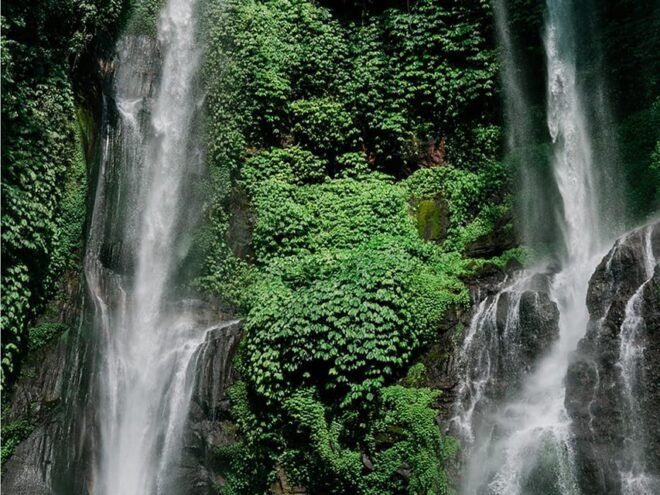 Ulun Danu Bratan Temple : Banyumala Waterfalls /Private Trip - Highlights and Experiences