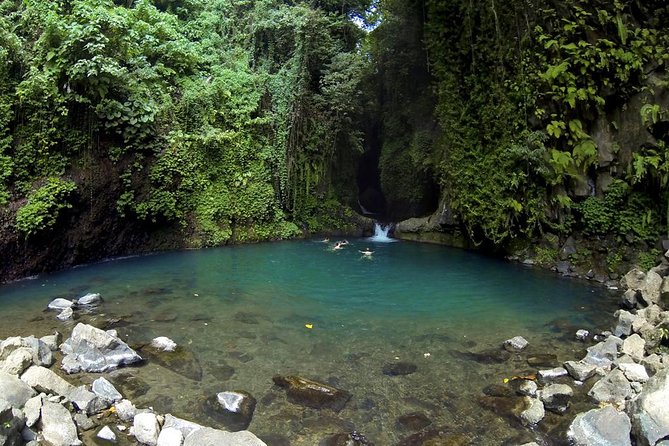 Ulun Danu Temple and Kembar Waterfall Tour in Bali - Inclusions