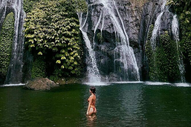 Ulundanu Bratan Temple Banyumala Waterfall and Rice Terrace Tour - A Full Breakdown of the Tour Experience