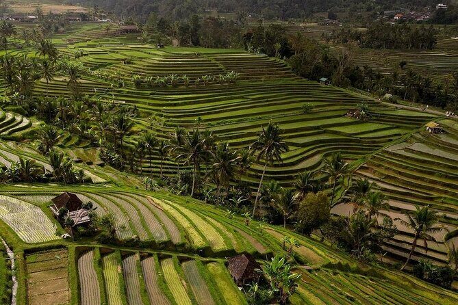 Ulundanu Bratan Temple Banyumala Waterfall and Rice Terrace Tour - The Sum Up