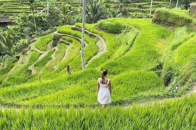 Ulundanu Bratan Temple, Scenic Waterfall & Tanah Lot Sunset Tour - The Comfort and Convenience