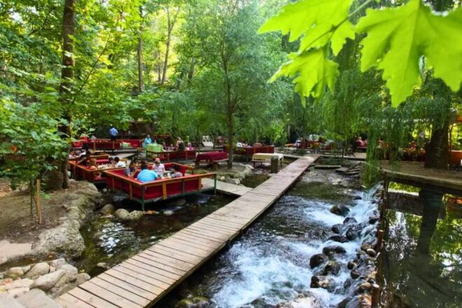 Ulupınar Fish and Picnic Tour - Accessibility Features