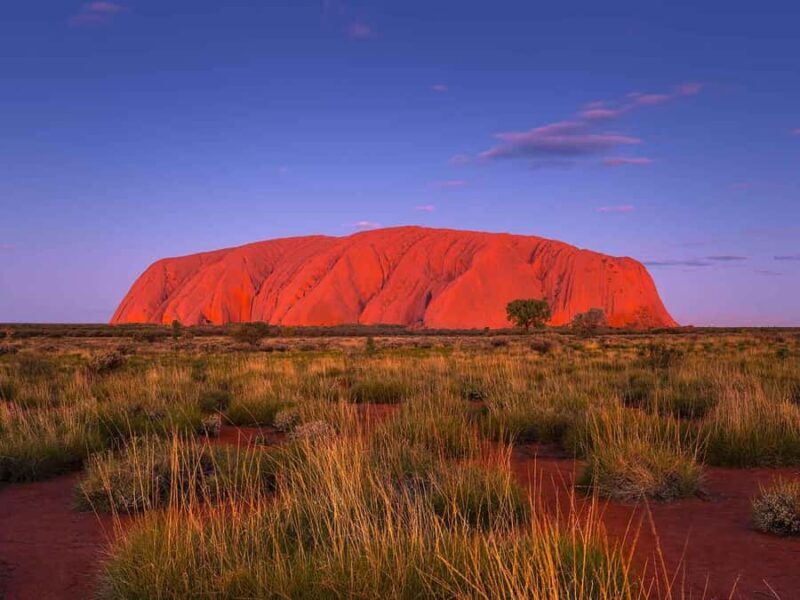 Uluru: 4-Day Rock to Rock Adventure Tour - Authentic Experiences and Tips from Reviewers