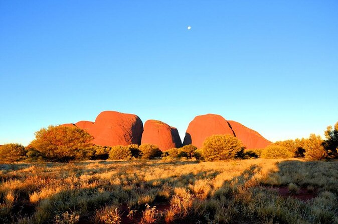Uluru and Kata Tjuta Experience With BBQ Dinner - Common Questions