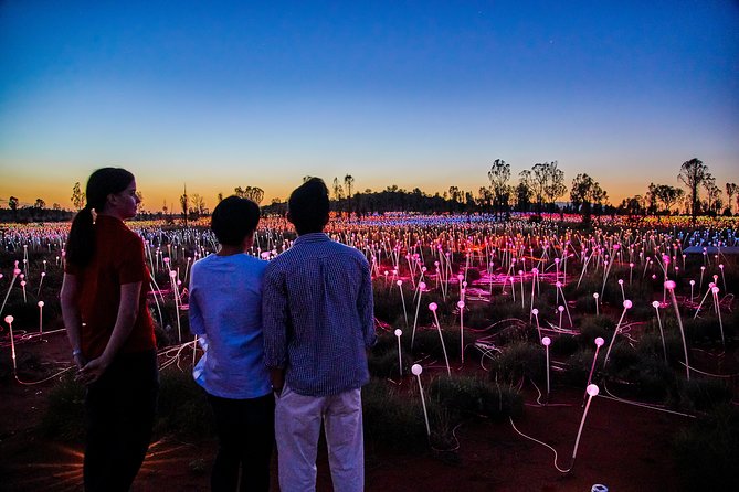 Uluru (Ayers Rock) Field of Light Sunrise Tour - Experience at Field of Light