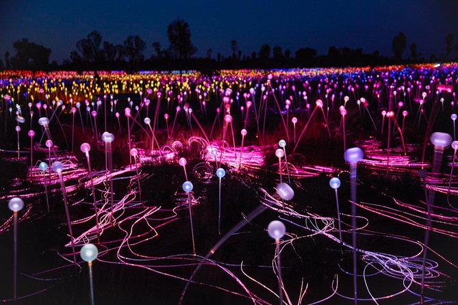 Uluru (Ayers Rock) Field of Light Sunrise Tour - Traveler Tips and Recommendations