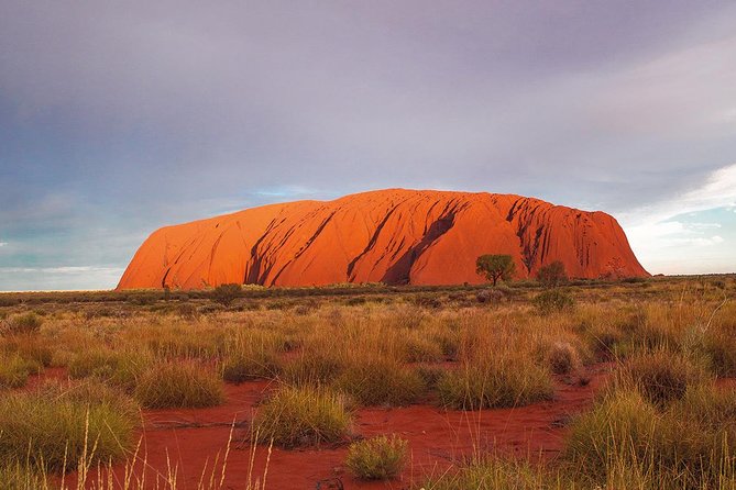 Uluru (Ayers Rock) Sunset Tour - Positive Experiences