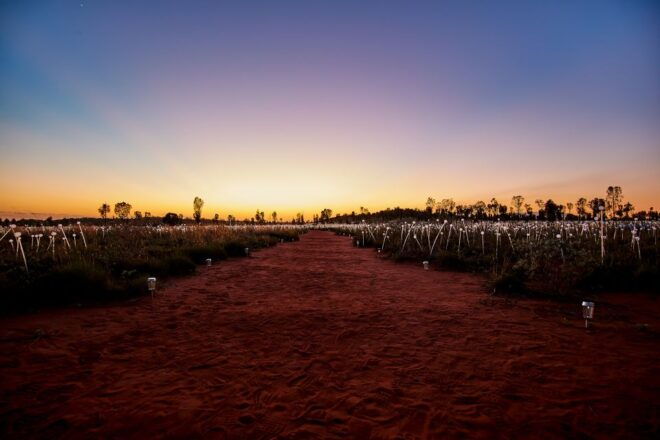 Uluru: Field of Light Sunrise Tour With Hot Drinks - Pickup and Drop-off Locations