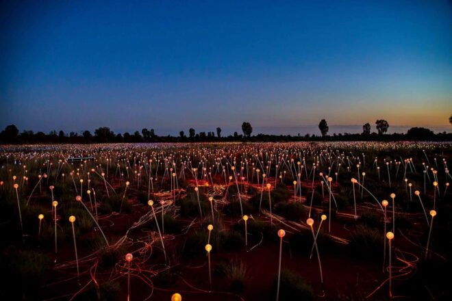 Uluru: Field of Light Sunrise Tour With Hot Drinks - Scenic Views of Uluru and Kata Tjuta