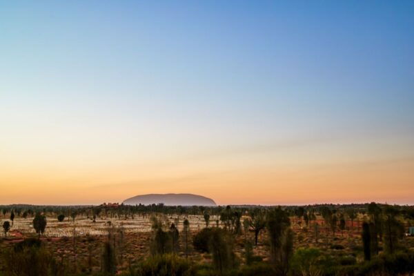 Uluru: Field of Light Sunrise Tour With Hot Drinks - Highlights of the Experience