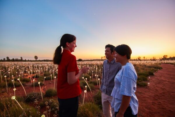 Uluru: Field of Light Sunrise Tour With Hot Drinks - Review Summary and Ratings