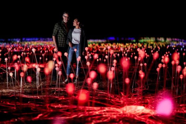 Uluru: Field of Light Sunrise Tour With Hot Drinks - Common Questions